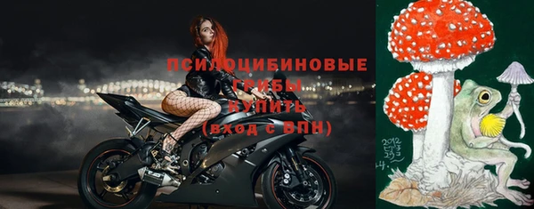сатива Верхний Тагил