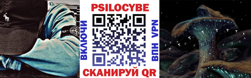 ОМГ ОМГ tor  Гатчина  Псилоцибиновые грибы мухоморы 